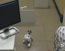 Aibo Robot Navigation Using a Brain-Computer Interface “Joystick”